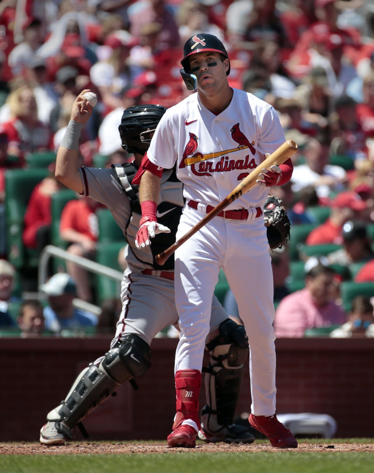 Cardinals look to split series against D-backs